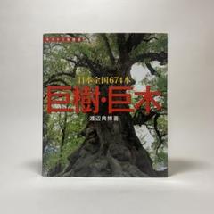 巨樹・巨木 日本全国674本 山と渓谷社 渡辺典博 ヤマケイ情報箱