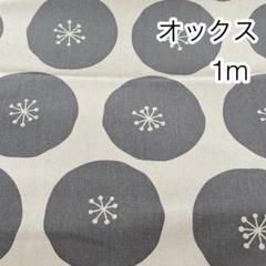 1m あんぱんドット グレードット オックス