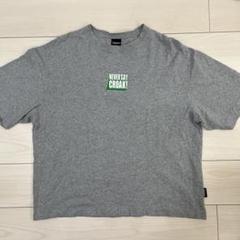 Disney Muppets Kermit Tシャツ Lサイズ