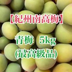 配送予定日：5/25〜】紀州南高梅 青梅 最高級品 3L 5kg 送料込み