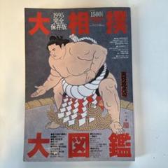 1995年 大相撲大図鑑 完全保存版 貴乃花 曙 若乃花 武蔵丸