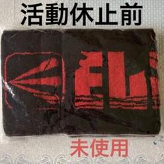2025年最新】タオル ELLEGARDENの人気アイテム - メルカリ
