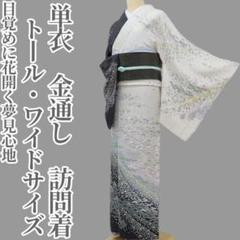 美品 紗袷 夏着物 “丁度いい静と動と涼を届ける夏草と笹と梅の蕾