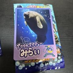 2025年最新】鳥羽水族館の人気アイテム - メルカリ