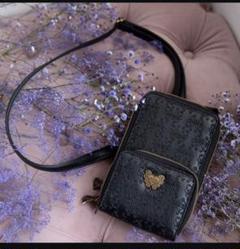 ANNA SUI mini 10th Anniversary Book 2wayショルダーバッグver