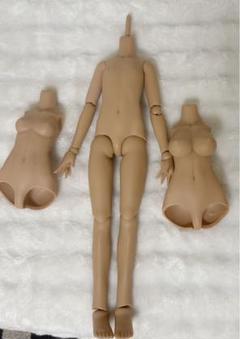 2025年最新】IMOMODOLL ボディ 2.0の人気アイテム - メルカリ