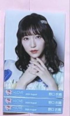 2025年最新】野口衣織 生写真 絶対アイドル辞めないでの人気