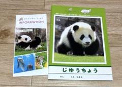 未使用⭐️JAL非売品 彩浜 ノート 和歌山 アドベンチャーワールド パンダ