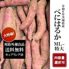 エゼリ　紅はるかA品20kg Yahoo!オークション -「サツマイモ 20kg」の落札相場・落札価格