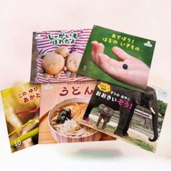 サンチャイルド ビッグサイエンス 36冊セット 2025年最新】サンチャイルド・ビッグサイエンス セットの人気