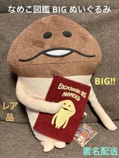 なめこ栽培キット ジャンボBIGぬいぐるみ　約45cm Amazon.co.jp: おさわり探偵なめこ栽培キット マサル ジャンボ