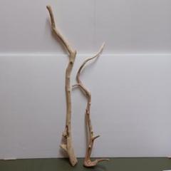 流木 2本セット 約63cmと52cm