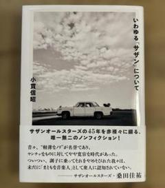 いわゆる「サザン」について