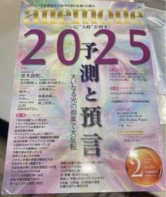 anemone 雑誌セット 2022年～2025年　不揃い19冊セット anemone(アネモネ)2025年1月号 | 脳内の配線を変え、稼働領域を