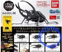 ヘルクレスリッキーブルー　2007 シャイニング　ARS10 PSA10相当 ヘルクレスリッキーブルー 2007 シャイニング 裏 ARS10 PSA10