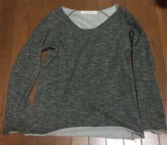 Inpaichthys Kerri レディーおしゃれストレーナーM