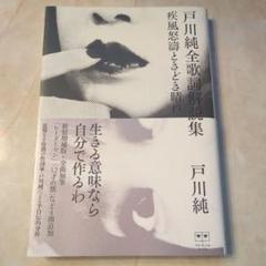戸川純全歌詞解説集 : 疾風怒濤ときどき晴れ