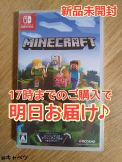 Switch マインクラフト Minecraft