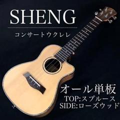 プロ調整品】BWS製 マホガニー・コンサート・ウクレレ【入門セット プロ調整品】BWS製 マホガニー・コンサート・ウクレレ【入門セット