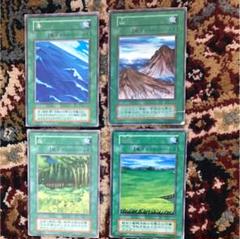 遊戯王 初期 山 海 荒野 草原 森 闇 フィールドカード 遊戯王 初期 山 海 荒野 草原 森 闇 フィールドカード - メルカリ