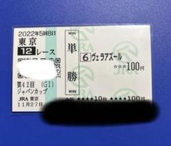 エルコンドルパサー 現地的中単勝馬券セット 換金不可 期限切れ ヴェラアズール 2022年 ジャパンカップ 現地単勝馬券 有効