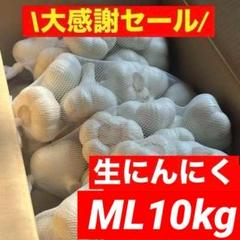 【大感謝セール】新物 青森県産 生にんにく L 4kg　福地ホワイト六片 GWセール】青森県産 にんにく L 4kg 福地ホワイト六片 加工 激安