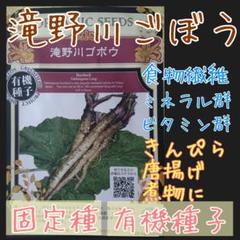 滝野川牛蒡 固定種 在来種 有機種子 野菜の種 家庭菜園 種子 種