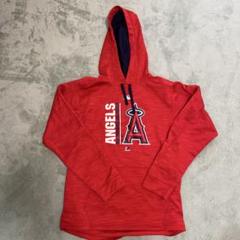 mlb-211215apa06_1.jpg