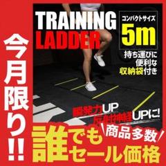 トレーニングラダー 5m