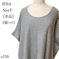 近年モデル✨IENA イエナ　ラメ春ニット　半袖　グレー　ゆったり 2025年最新】IENA カラー：グレイ系 半袖の人気アイテム - メルカリ