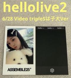 tripleS Assemble25 hellolive2 子犬 ジヨン