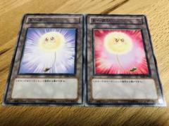 遊戯王 綿毛トークン 笑顔 怒り顔 ノーマル パラレル 2種 セット 綿毛トークン ノーマル セット 怒り顔 笑顔 遊戯王 - メルカリ