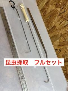 昆虫採集　昆虫採取　昆虫　クワガタ　虫取り　アイテム　引っ掻き棒　ピンセットのサムネイル