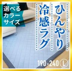 お買い得❗冷感 洗える ラグ マット カーペット(Lサイズ)❗