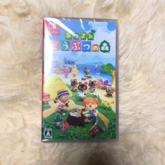 あつまれどうぶつの森 Switch ソフト