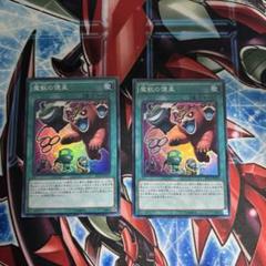魔獣の懐柔　スーパー　2枚
