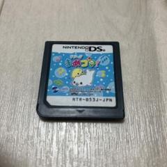 ニンテンドーDSソフト クプー!! まめゴマ　ds C