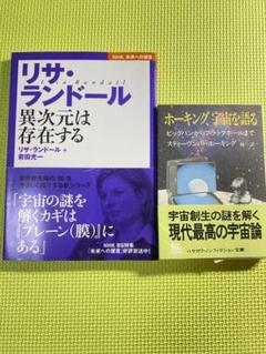 リサ・ランドール異次元は存在する/ホーキング、宇宙を語る