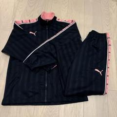 PUMA ジャージ ピンク SS 上下セット - メルカリ