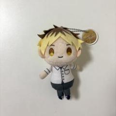 映画 ギヴン 海へ ぬいぐるみますこっと 鹿島柊