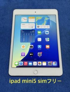 iPad mini 第5世代 Wi-Fi+Cellular 64GBシルバー43