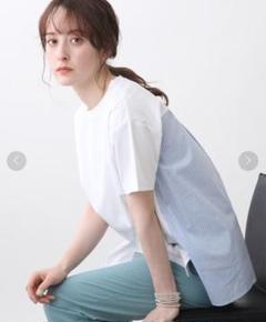2025年最新】INDIVI レディース 半袖(Tシャツ) Tシャツ