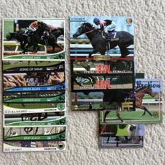 競馬 サラブレッドカード １６枚セット