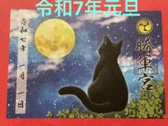 駒込　妙義神社　黒猫　ステンドグラス風　御守り　透明　クリア　3色 ○駒込 妙義神社 黒猫 ステンドグラス風 御守り 夜バージョン