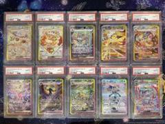 【PSA10】ブイズex SAR 10枚セット【テラスタルフェスex】