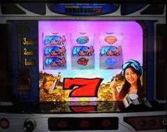 パチスロ シンドバッドアドベンチャーは榎本加奈子でどうですか?　PS2
