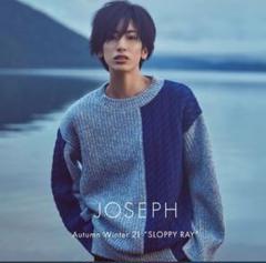 柚香光 JOSEPH ノベルティ2冊セット 23AW 割引購入 柚香光さん JOSEPHノベルティ 2冊 アート・デザイン