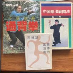 中国武術「通臂拳、外丹功大師張志通関連4点セット」 中国拳法 書籍4冊セット（中国武術 [中国武術雑誌 (少林与太極)4