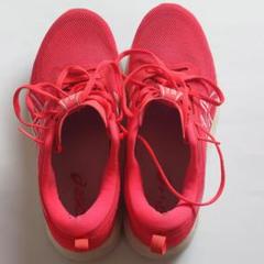 アシックス asics EvoRide SPEED 中古24.5cm