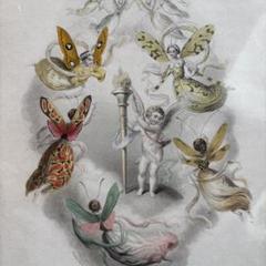 フランスアンティーク アメデ・ヴァラン 銅版画 パピヨン 天使 1852年 フランスアンティーク アメデ・ヴァラン 銅版画 パピヨン 天使
